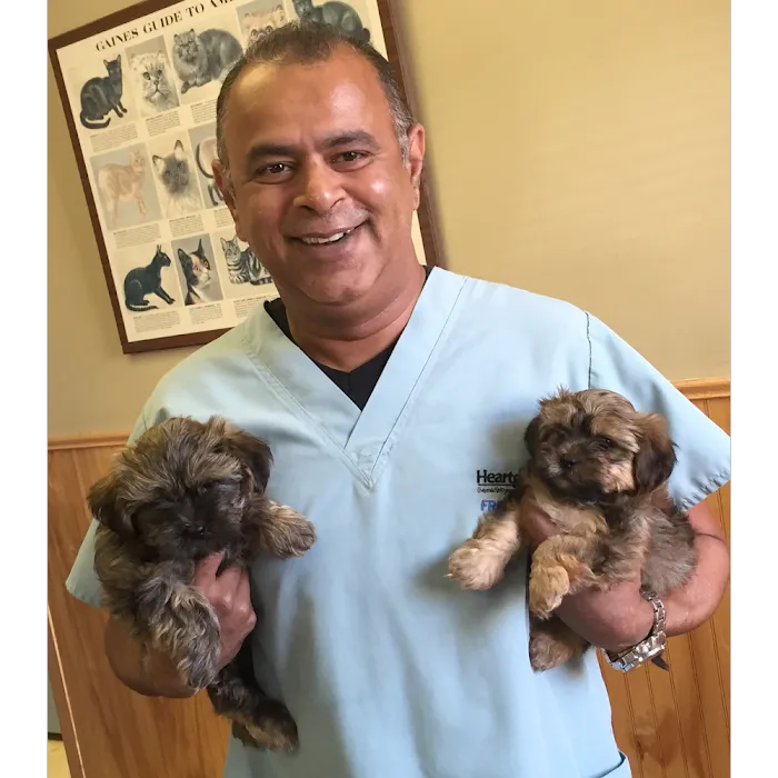 Roselle Park Animal Hospital 8