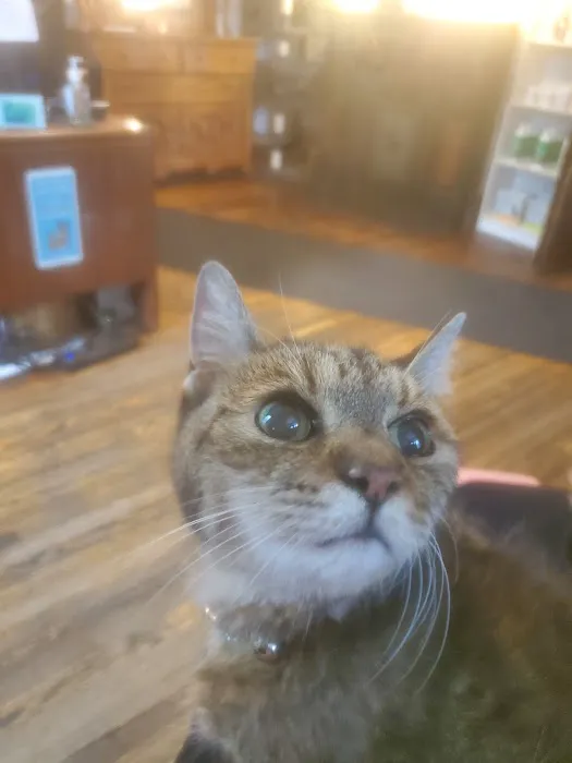 Elizabeth Veterinary Clinic Inc. 8