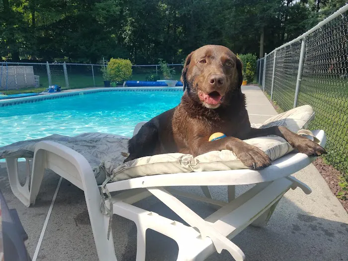 Rockland Veterinary Care - Hudson Valley 6
