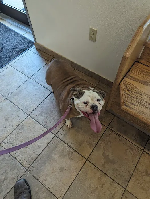 Rockland Veterinary Care - Hudson Valley 2