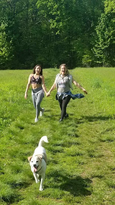 Rockland Veterinary Care - Hudson Valley 9