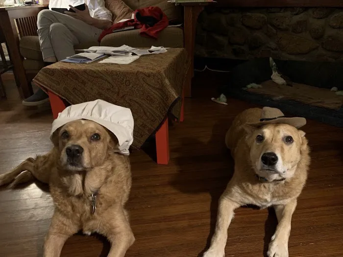 Rockland Veterinary Care - Hudson Valley 3