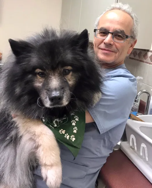 County Animal Hospital 1