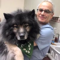 County Animal Hospital ico