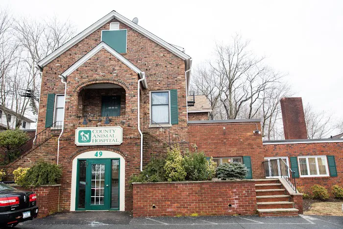 County Animal Hospital 6