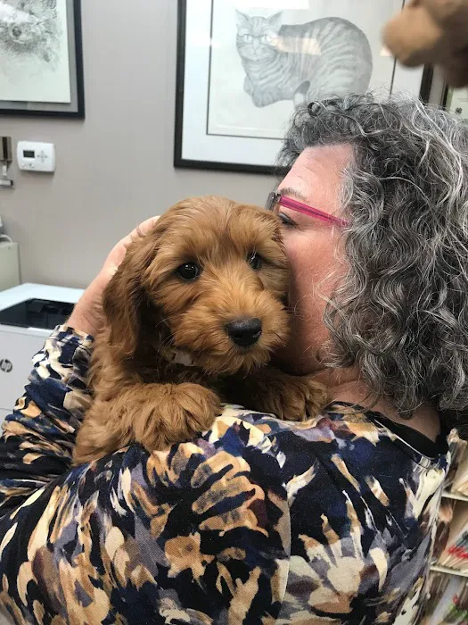 County Animal Hospital 9