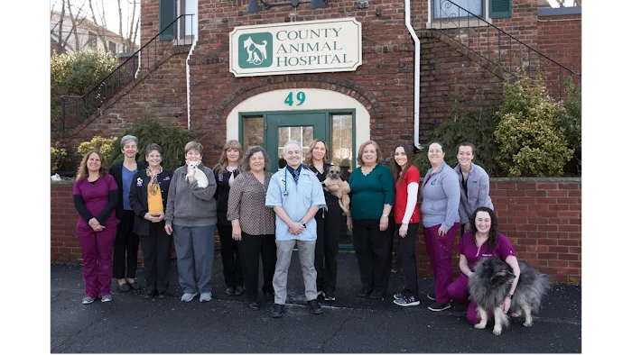 County Animal Hospital 10