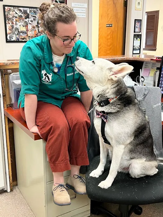 County Animal Hospital 7