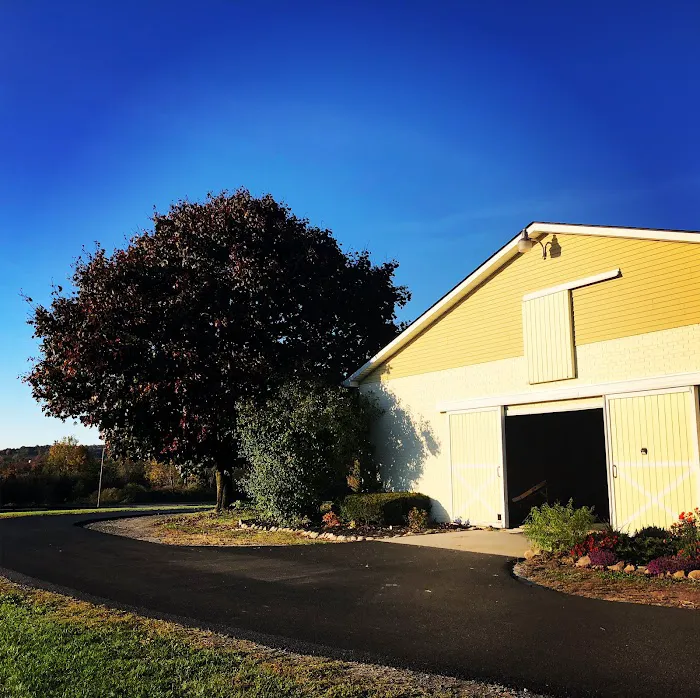 Equilibrium Veterinary Services 4