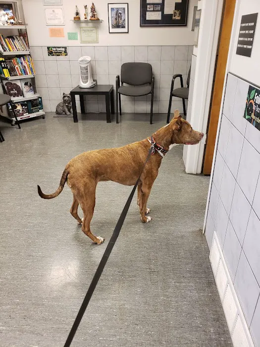 Animal Health Center 2