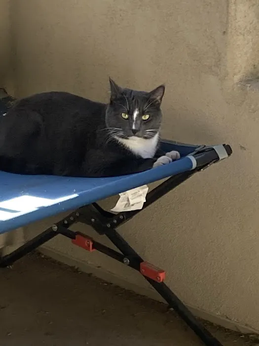 Animal Health Center 4