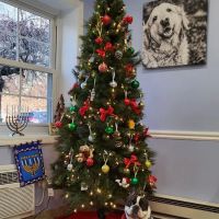 Cornwall Veterinary Hospital ico