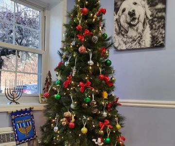 Cornwall Veterinary Hospital