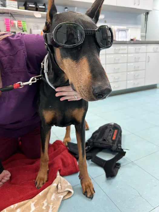 Hamptonburgh Animal Hospital 4