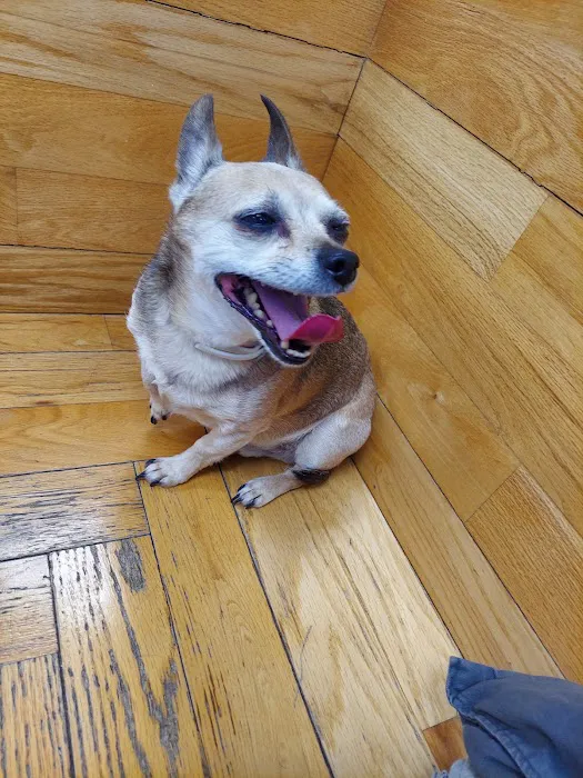 Hamptonburgh Animal Hospital 2