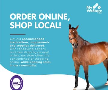 Winner's Circle Equine Veterinary Services