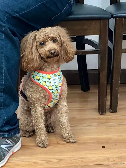 Catskill Veterinary Services, PLLC 1
