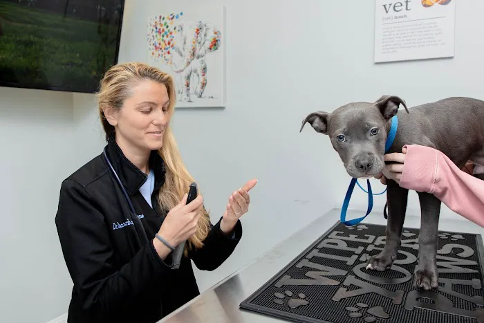 Catskill Veterinary Services, PLLC 4