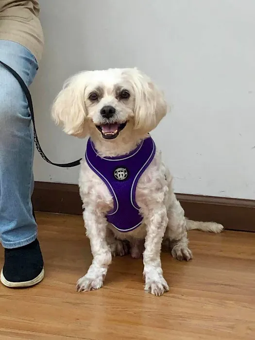 Catskill Veterinary Services, PLLC 2