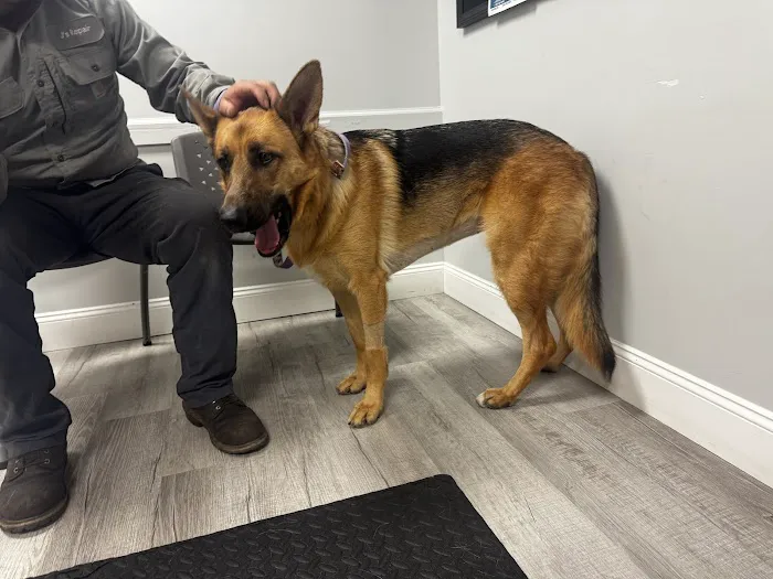 Catskill Veterinary Services, PLLC 10