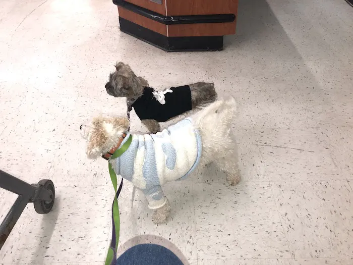 Banfield Pet Hospital 8