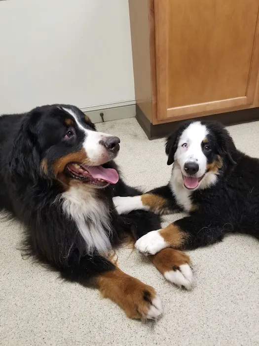 Branchville Country Vet Clinic 4