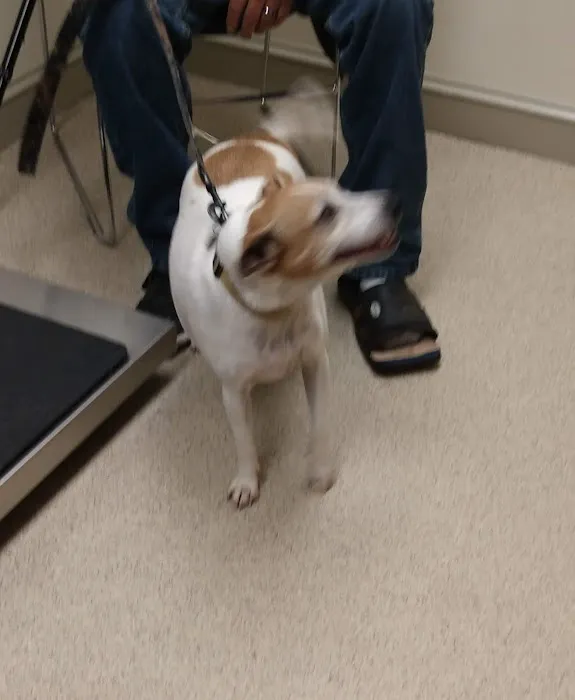 Branchville Country Vet Clinic 1