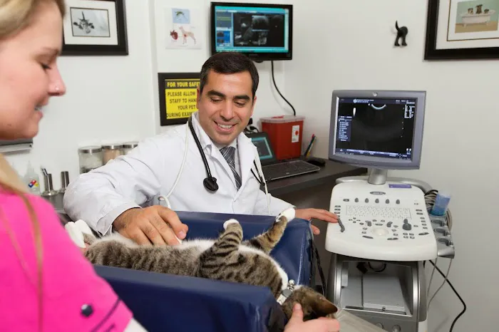 Englewood Veterinary Center 12