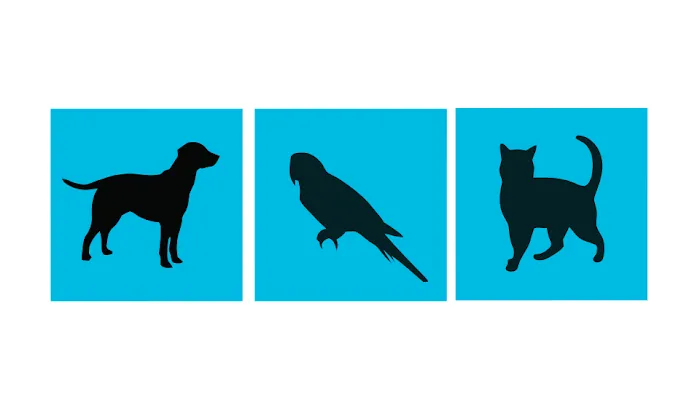 Englewood Veterinary Center 12