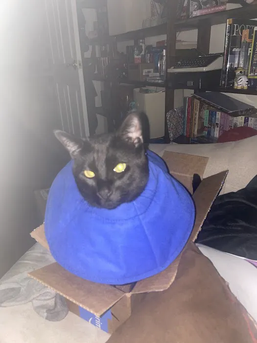 Englewood Veterinary Center 12