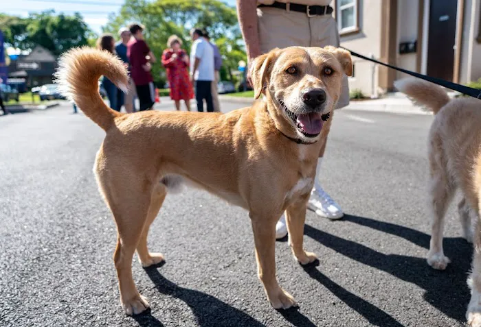 Tenafly Veterinary Center 12