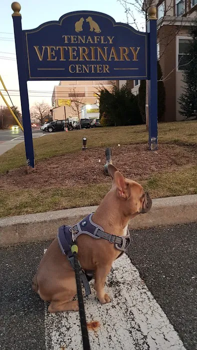 Tenafly Veterinary Center 12