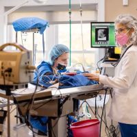 Tenafly Veterinary Center ico