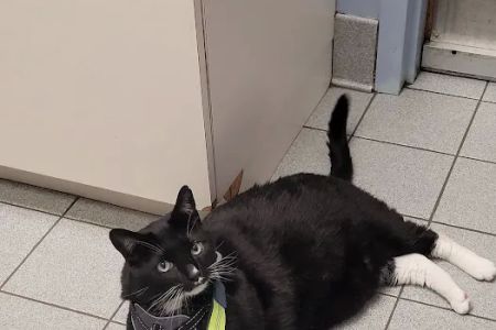 Cresskill Animal Hospital