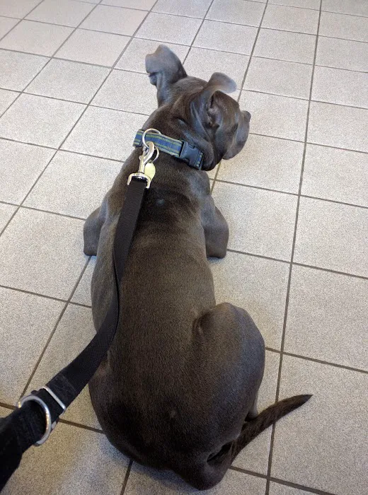 Cresskill Animal Hospital 12