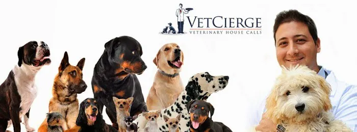 Vetcierge Care 12