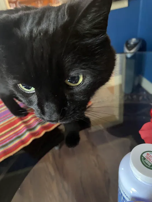 Natural Vet for Pets P.C. 12