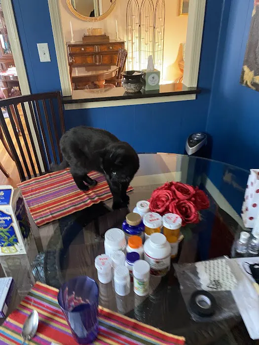 Natural Vet for Pets P.C. 12