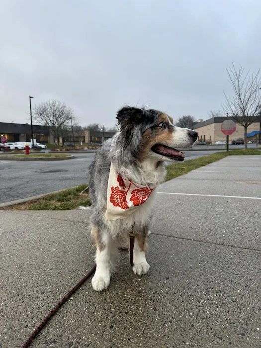 Animal Specialty Center 12
