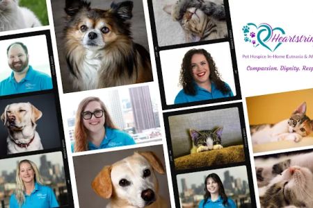 Heartstrings Pet Hospice, In-Home Euthanasia & Aftercare - Detroit
