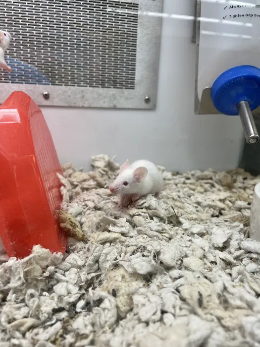 Petco 3