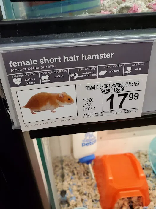 Petco 6