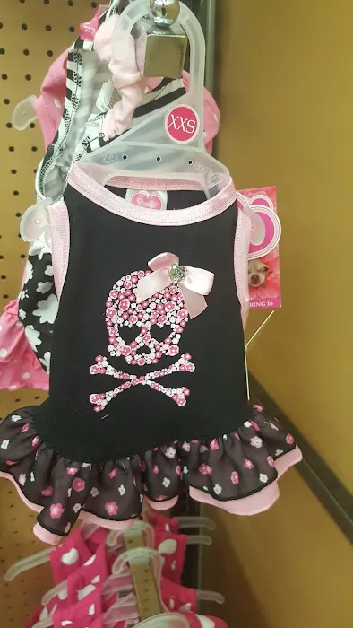 Petco 1