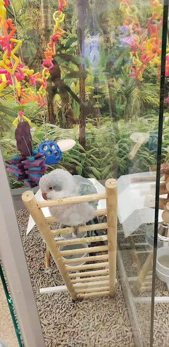 Petco 8