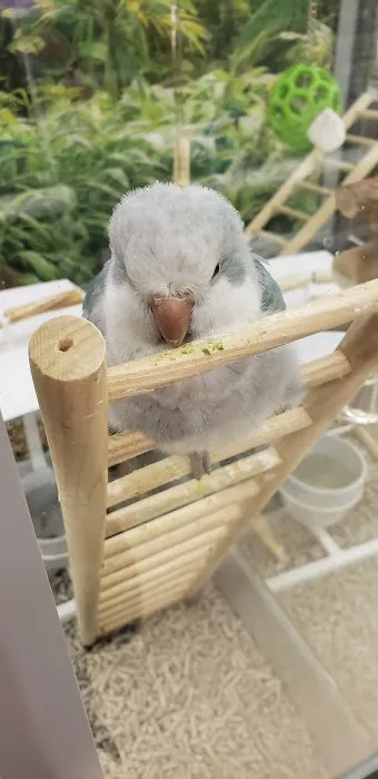 Petco 10