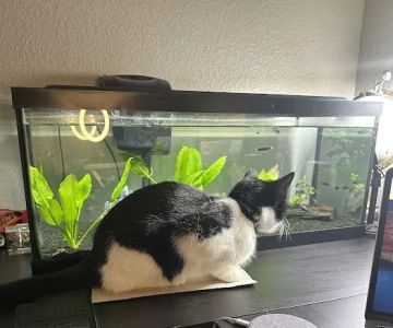Pet Supermarket