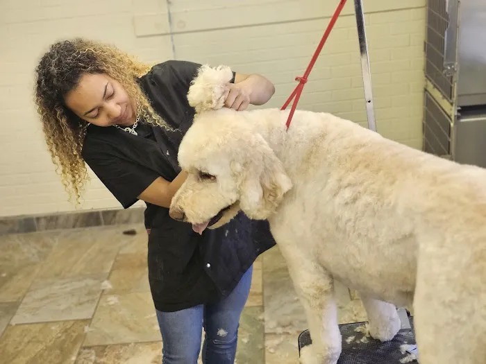 Plymouth Beech Animal Hospital 12