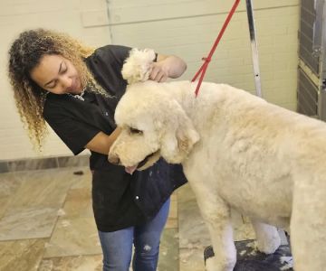 Plymouth Beech Animal Hospital