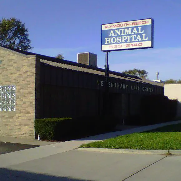 Plymouth Beech Animal Hospital 12