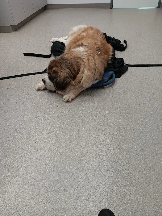 TrueHeal Veterinary Hospital 6